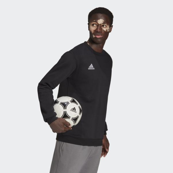Adidas Entrada 22 Sweat Noir élégant