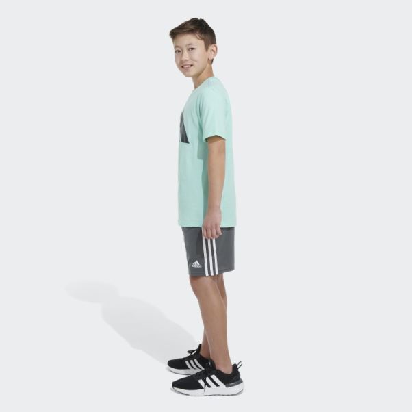 T-shirt Logo Adidas Vert Camo Ss
