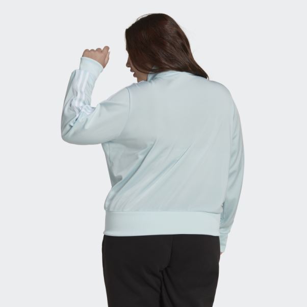Adicolor Classics Firebird Primeblue Veste De Survêtement (grande Taille) Bleu Adidas
