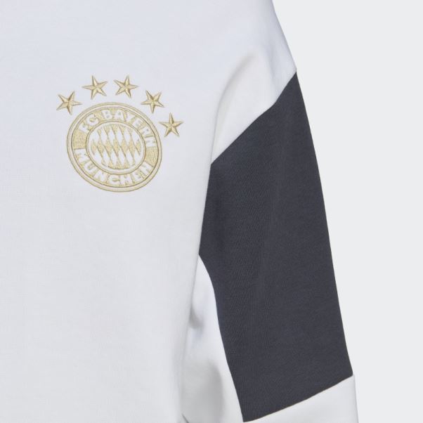 Adidas Fc Bayern Sweat à Capuche De Voyage Blanc