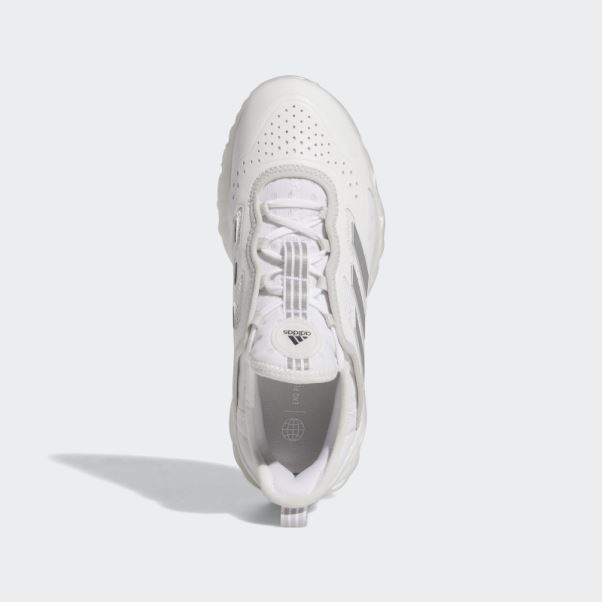 Chaussure Adidas Blanche Boost