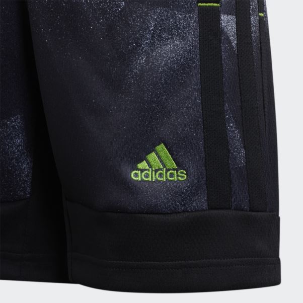 Short Adidas Donovan Mitchell Blanc