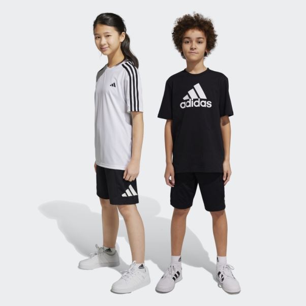Adidas Short Train Essentials Aeroready Logo Coupe Classique Noir