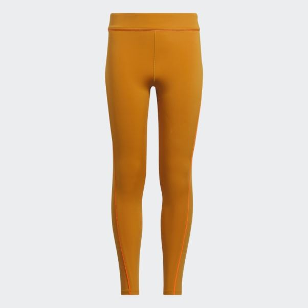 Collants Adidas Focus Orange Chaud