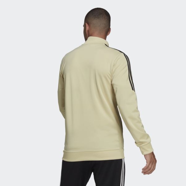 Veste De Survêtement Benfica Condivo Beige Sable Adidas