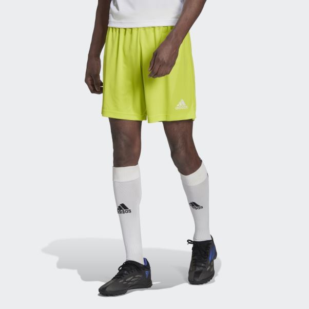 Entrada 22 Short Sol Jaune Adidas