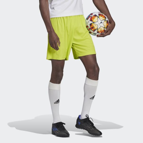 Entrada 22 Short Sol Jaune Adidas