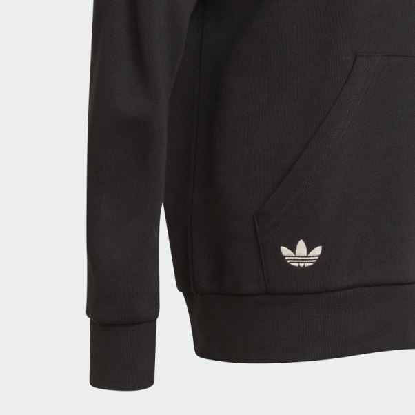 Sweat à Capuche Adidas Adicolor Noir