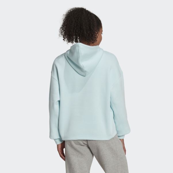 Sweat à Capuche All Szn Fleece Bleu Adidas