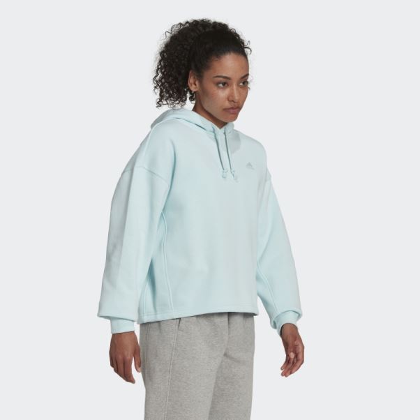 Sweat à Capuche All Szn Fleece Bleu Adidas