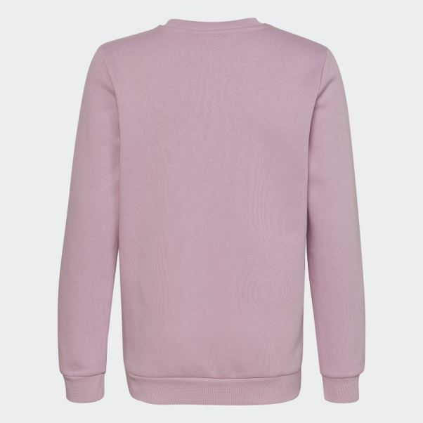 Sweat Adidas Lilas Adicolor Crew