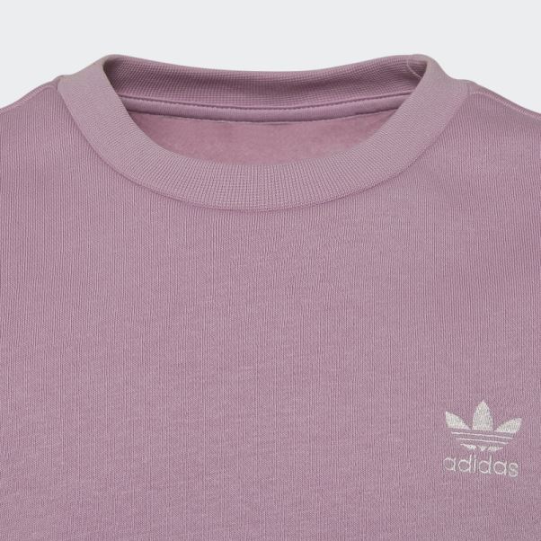 Sweat Adidas Lilas Adicolor Crew