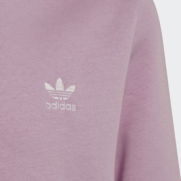 Sweat Adidas Lilas Adicolor Crew