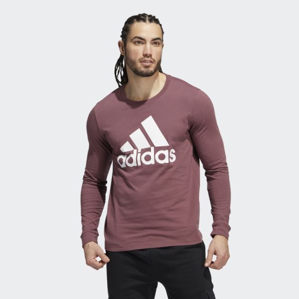 T-shirt écusson De Sport Bordeaux Adidas