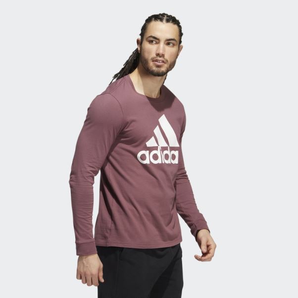 T-shirt écusson De Sport Bordeaux Adidas