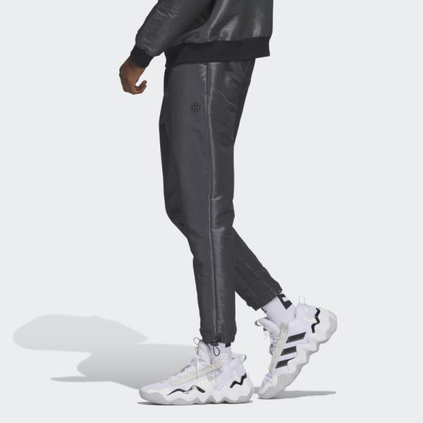 Pantalon De Voyage Harden Gris Adidas