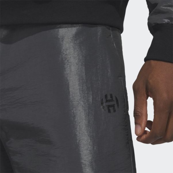 Pantalon De Voyage Harden Gris Adidas