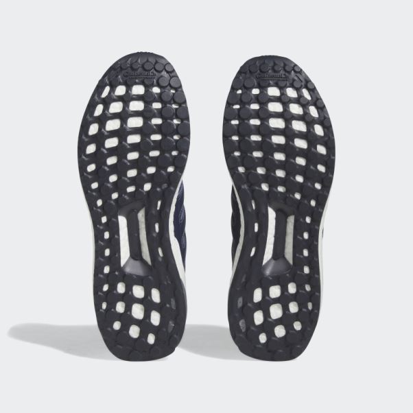 Chaussures Ultraboost 1.0 Encre Adidas