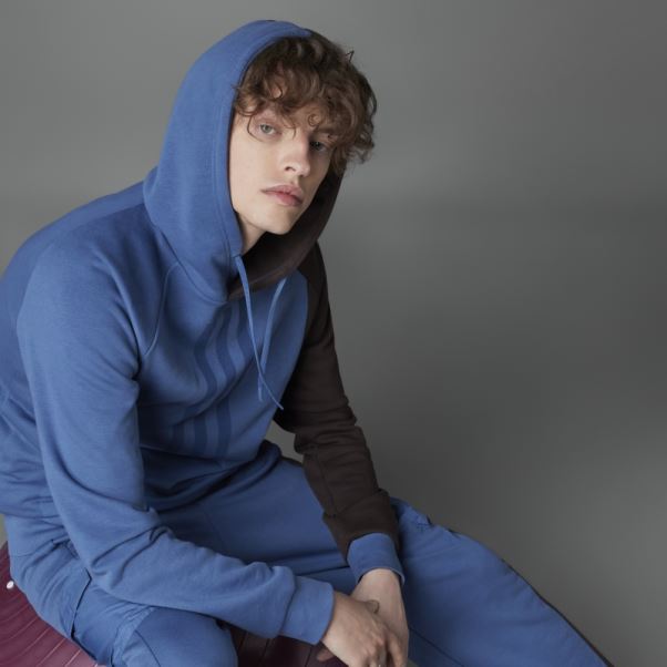 Sweat à Capuche En éponge Colorblock Acier Adidas Fashion