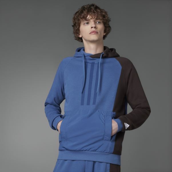 Sweat à Capuche En Molleton Colorblock Acier Adidas