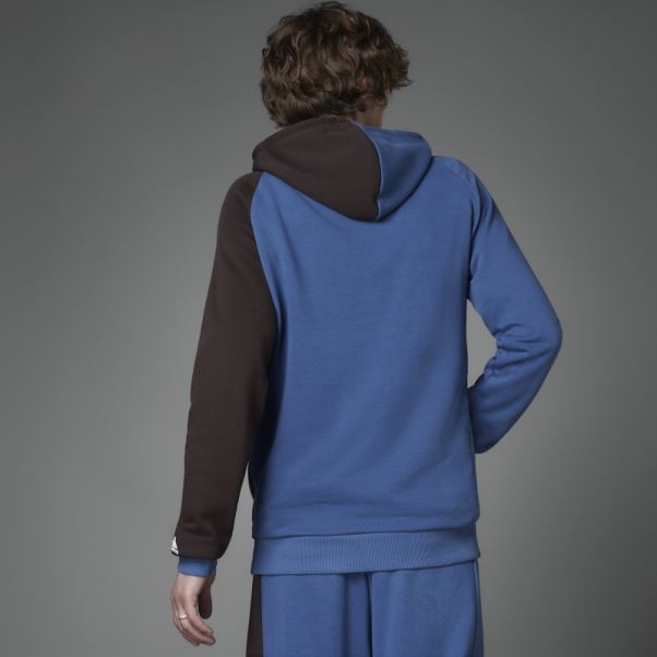 Sweat à Capuche En Molleton Colorblock Acier Adidas