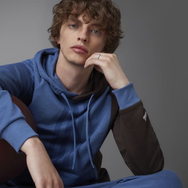 Sweat à Capuche En Molleton Colorblock Acier Adidas