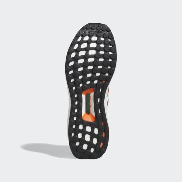 Adidas Ultraboost 1.0 Miami Blanc