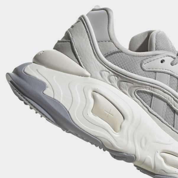 Oznova Chaussures Adidas Gris