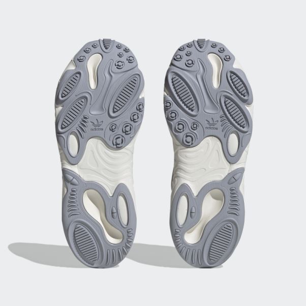 Oznova Chaussures Adidas Gris