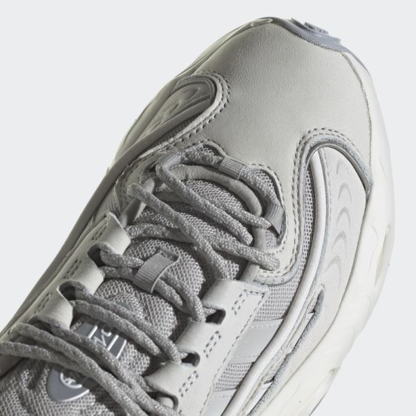 Oznova Chaussures Adidas Gris