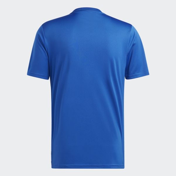Maillot Adidas Team Icon 23 Bleu Roi