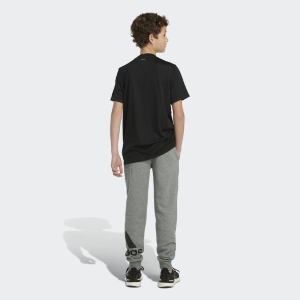 Pantalon De Jogging En Coton Essentials Gris Anthracite Adidas