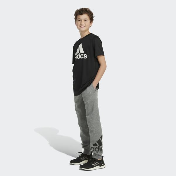 Pantalon De Jogging En Coton Essentials Gris Anthracite Adidas