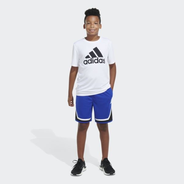 Adidas Short De Basket 23 Trace Royal