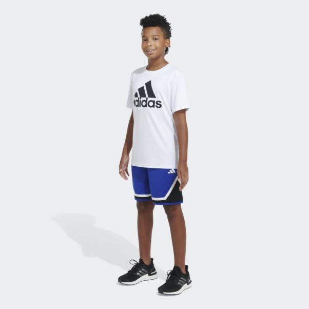 Adidas Short De Basket 23 Trace Royal