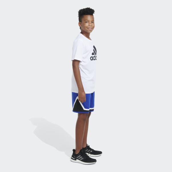 Adidas Short De Basket 23 Trace Royal