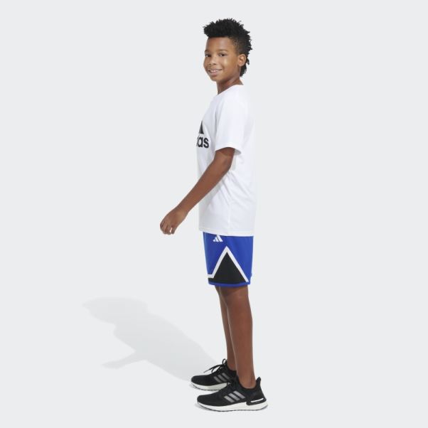 Adidas Short De Basket 23 Trace Royal
