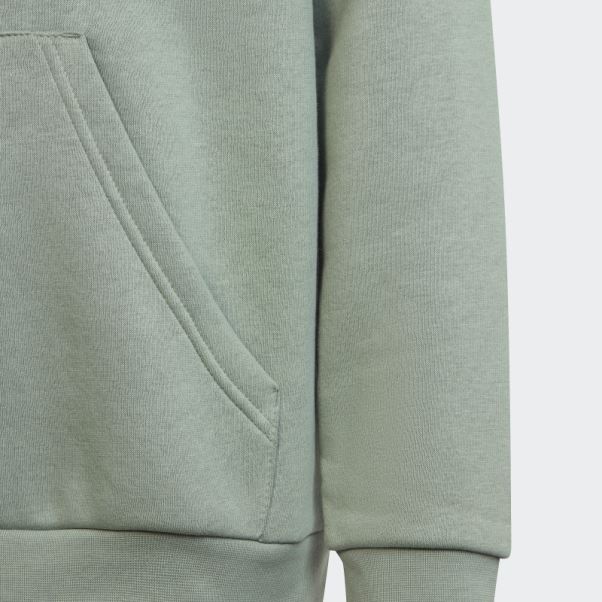 Sweat Adidas Adicolor Vert Argent