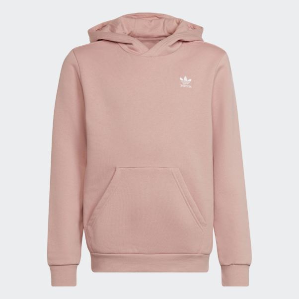 Sweat à Capuche Adicolor Adidas Mauve