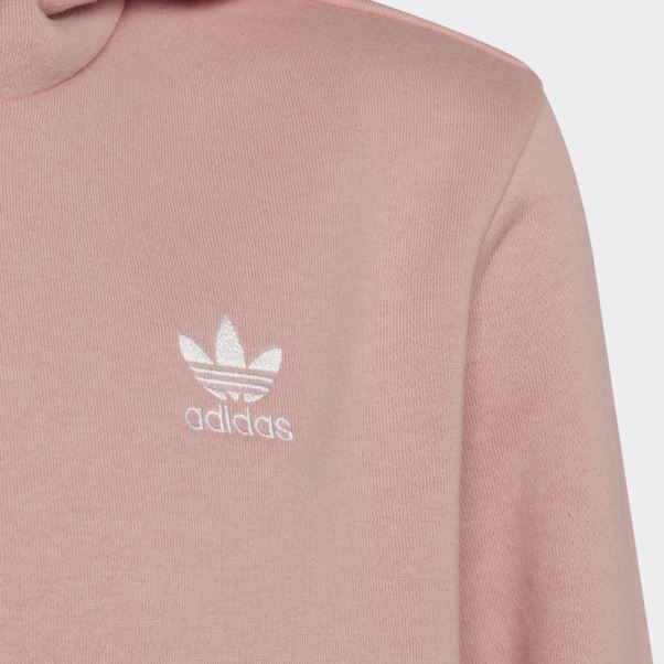 Sweat à Capuche Adicolor Adidas Mauve