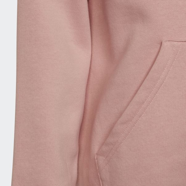 Sweat à Capuche Adicolor Adidas Mauve