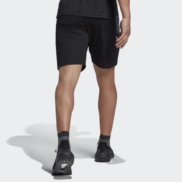 Short De Rugby All Blacks Adidas Noir