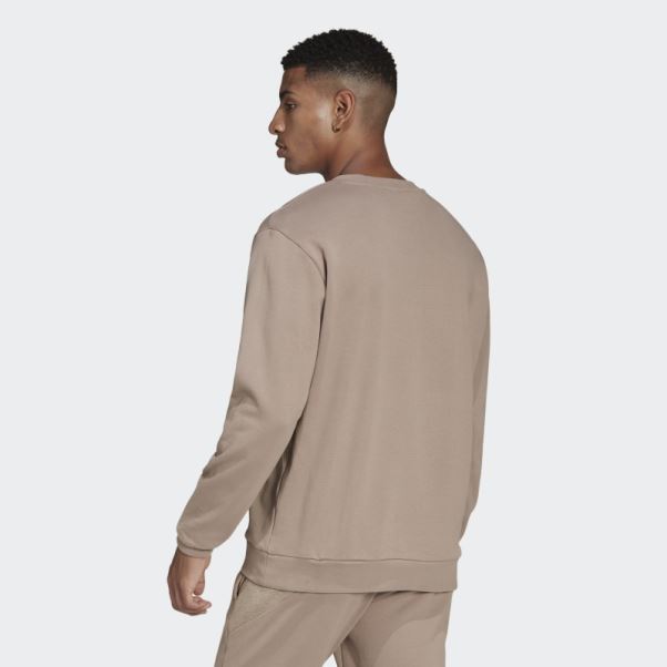 Adidas Craie Marron R.y.v. Sweat Ras Du Cou Basique