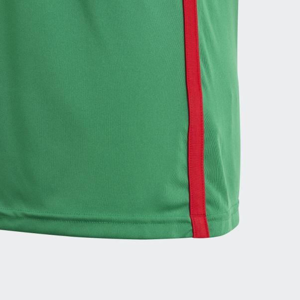 Adidas Mexico Home Fan Shirt Vert