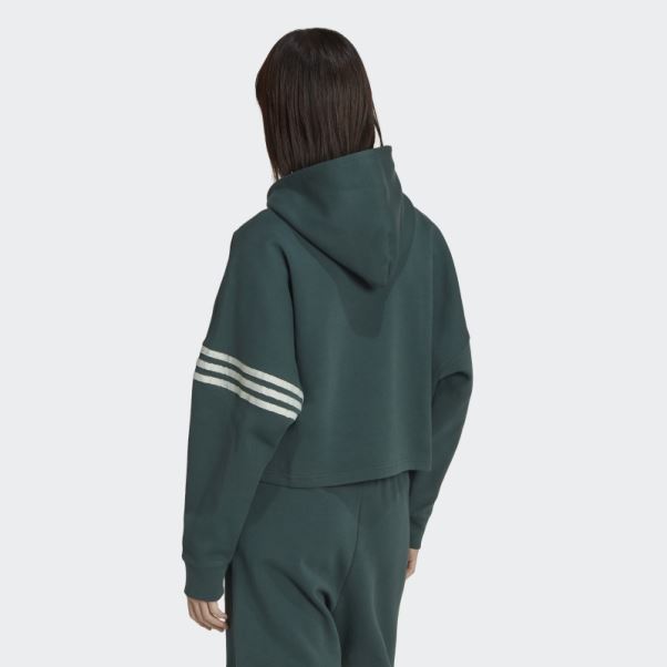 Sweat à Capuche Adidas Adicolor Neuclassics Vert Minéral