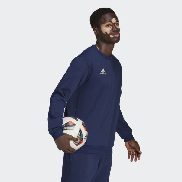 Sweat Adidas Entrada 22 Bleu Marine