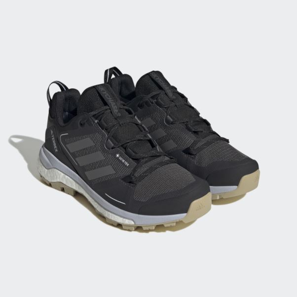 Chaussures De Marche Adidas Terrex Skychaser 2.0 Gore-tex Noir
