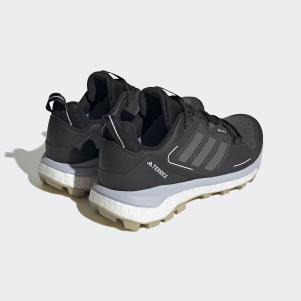 Chaussures De Marche Adidas Terrex Skychaser 2.0 Gore-tex Noir