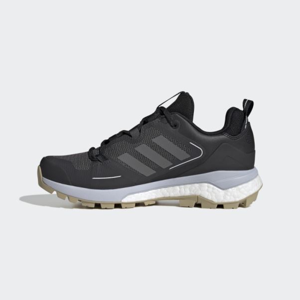 Chaussures De Marche Adidas Terrex Skychaser 2.0 Gore-tex Noir