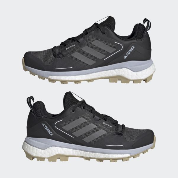 Chaussures De Marche Adidas Terrex Skychaser 2.0 Gore-tex Noir